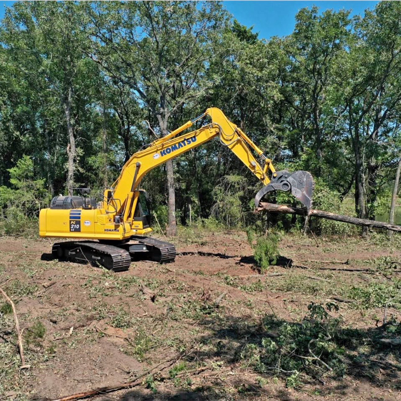 Komatsu excavator moving a fallen tree during land clearing in Charlotte, NC